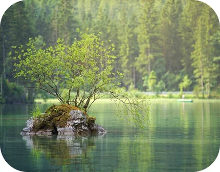 Neil Island